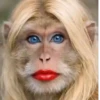 Monos animados  12