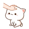 Kucing gemoy 21