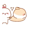 Rabbit🐰 30