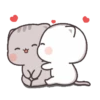 Kucing gemoy 16