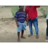 Gif 28