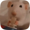 🐭 Ratitas Animadas 🐁 5