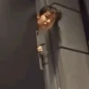 BTS 31