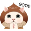 Cute cat 24