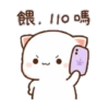 Peach cat 10 15