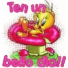 Piolin 2.0 7