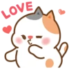 Tonton friends 16