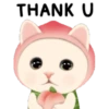 Cute cat 14
