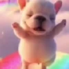Pibble 🐶 | Perrito Tiktok  21