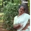New malayalam 2021 10