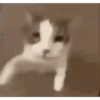 Puto el que lo lea 5
