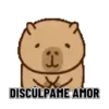 I DISCULPAME AMOR