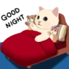 Cute cat 27