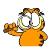 Garfield 1 6
