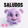 Axy Linda 2026-6 9