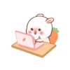 Rabbit🐰 5