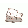 Kucing gemoy 5