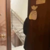 Gifs sceme 29