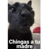 Chingas a tu madre