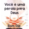 PALMEIRAS  26