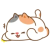 Tonton friends 24
