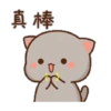 Peach cat 10 24