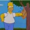 The Simpson ⭐ 18
