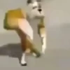 Animados 30