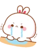 Tooji Bunny gif v4 9