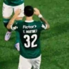 Palmeiras 6
