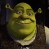Shrek Time🟢✨ 6
