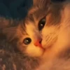 Gatos sin Sentido 2😺🖤 19