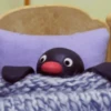 Pinguzinho 🐧🐧 13