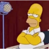 Homero animado 14