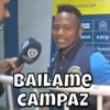 Viral 28