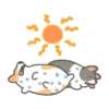 Summer Corgi 5