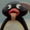GIFS PINGU 5