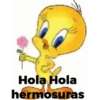 Piolin 2.0 6