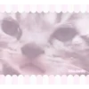 ෛ🎀Gatos / cats ♡@little.danito 14