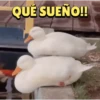 QUÉ SUEÑO!!