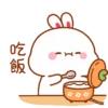 Rabbit🐰 10