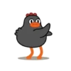 Crazy chicken 6