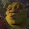 Shrek Time🟢✨ 15