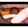 Tamil Animated 2 5