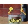 Piolin 2.0 28