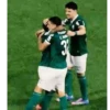 Palmeiras 7
