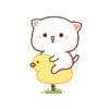 Kucing gemoy 12