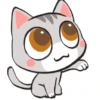Kucingg goma lucuuu 8