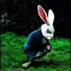 ⏱️🐰 Conejo con reloj 2 🐰⏱️ 8