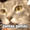 gamau gamau